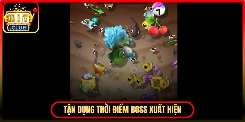 Tận dụng thời điểm xuất hiện