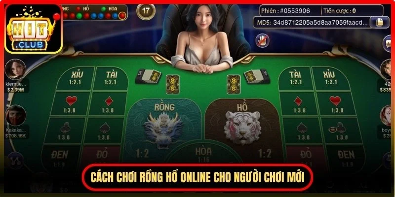 Nhìn nhận thực tế cách chơi rồng hổ online cho người chơi mới